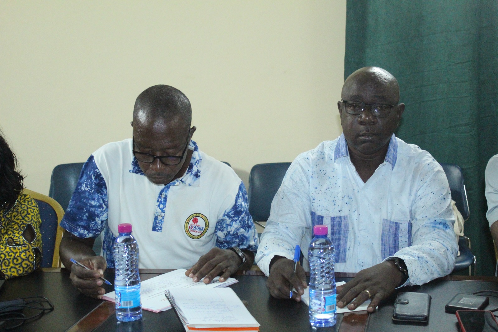 Responsable des programmes de l'ODDS, Chargé de suivi évaluation
                                                                                             point focal sauvegarde 